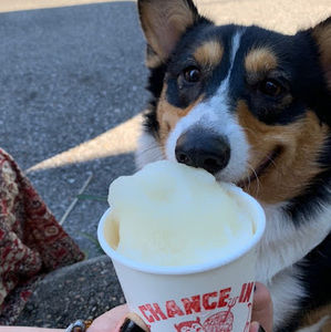 Meet your Posher, Avah